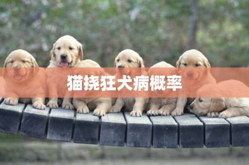 貓撓狂犬病概率