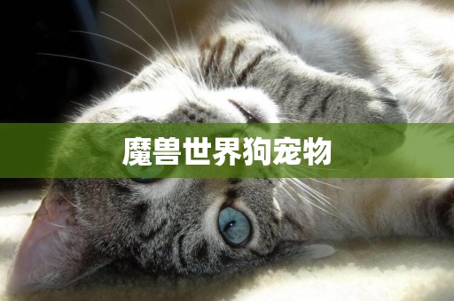 魔獸世界狗寵物
