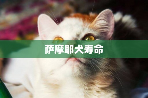 薩摩耶犬壽命