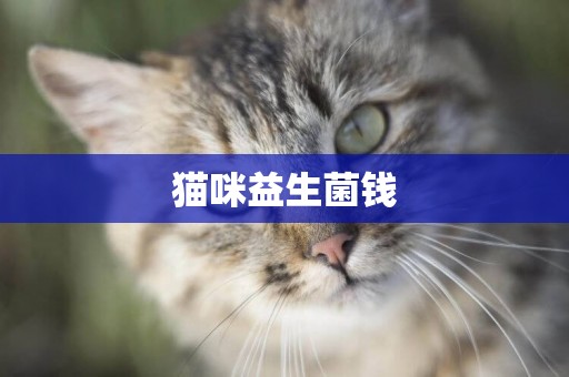 貓咪益生菌錢