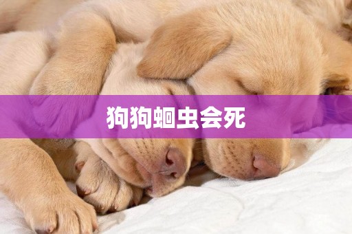 狗狗蛔蟲會死
