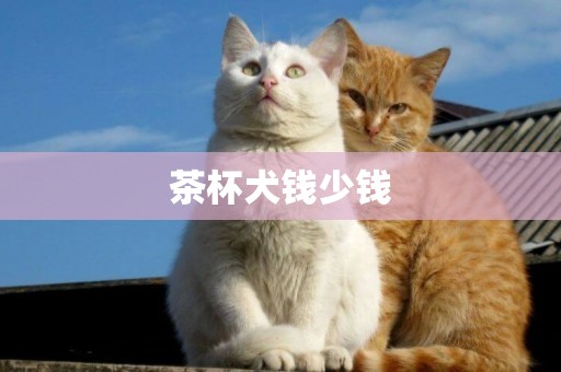 茶杯犬錢少錢