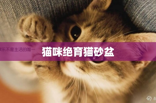 貓咪絕育貓砂盆