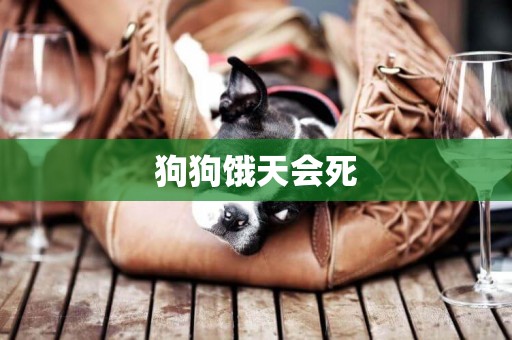 狗狗餓天會死
