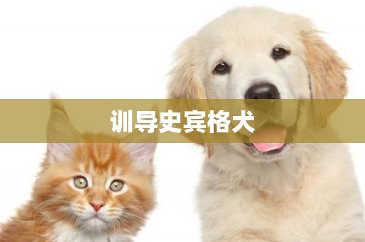 訓導史賓格犬