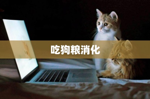 吃狗糧消化