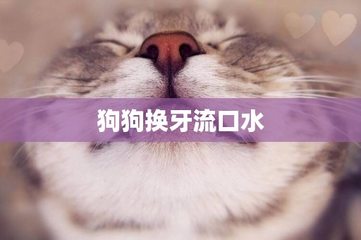 狗狗換牙流口水