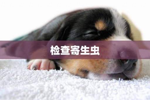 檢查寄生蟲