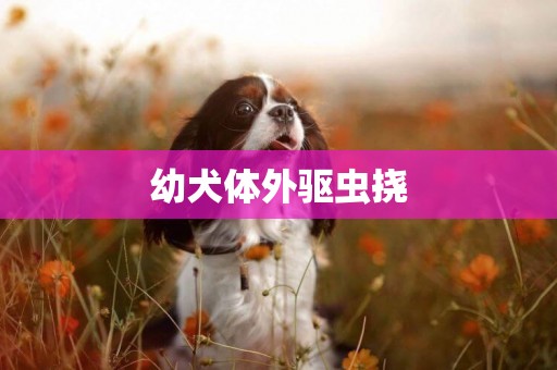 幼犬體外驅蟲撓