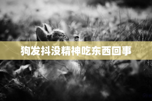 狗發抖沒精神吃東西回事