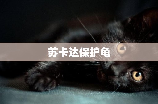 蘇卡達保護龜