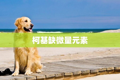 柯基缺微量元素