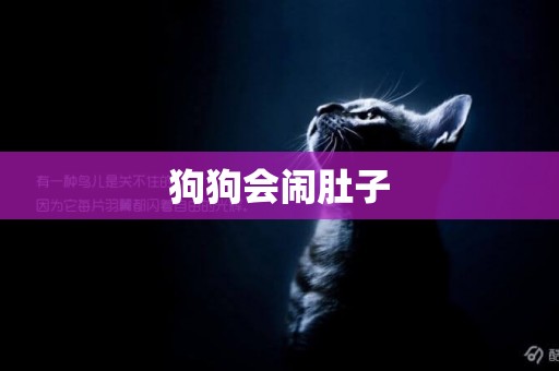 狗狗會鬧肚子