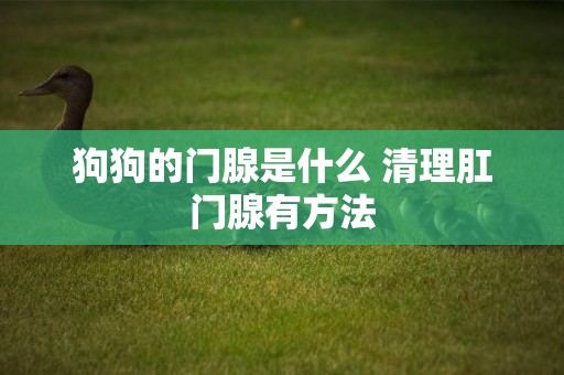狗狗的門腺是什么 清理肛門腺有方法