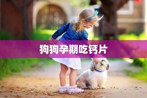 狗狗孕期吃鈣片