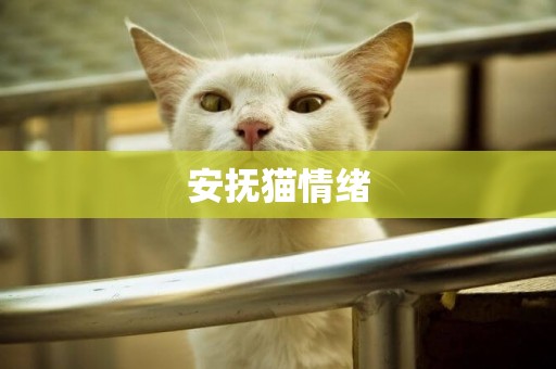 安撫貓情緒