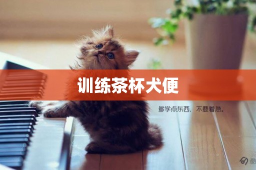 訓練茶杯犬便
