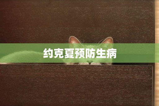 約克夏預防生病
