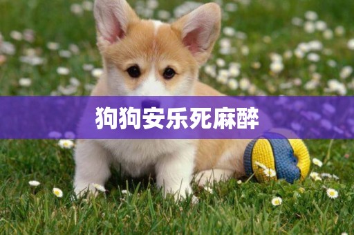 狗狗安樂死麻醉