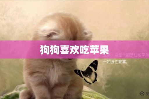 狗狗喜歡吃蘋果