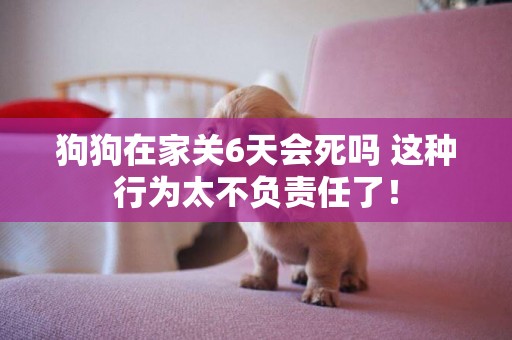 狗狗在家關6天會死嗎 這種行為太不負責任了！