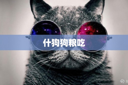 什狗狗糧吃