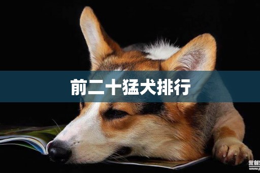 前二十猛犬排行
