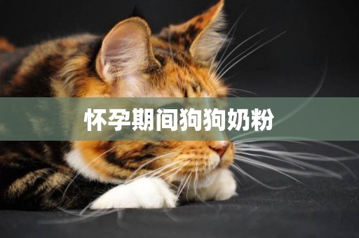 懷孕期間狗狗奶粉