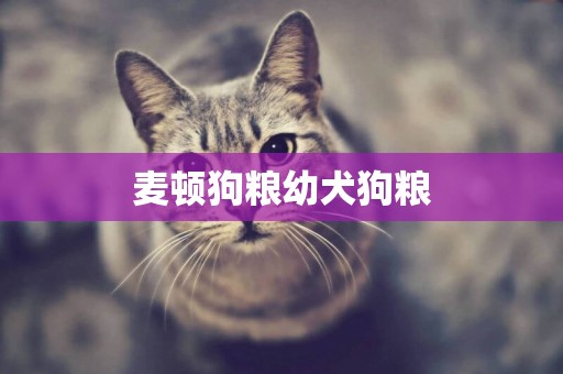 麥頓狗糧幼犬狗糧