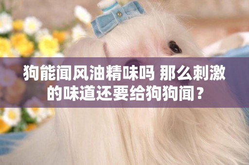 狗能聞風油精味嗎 那么刺激的味道還要給狗狗聞？