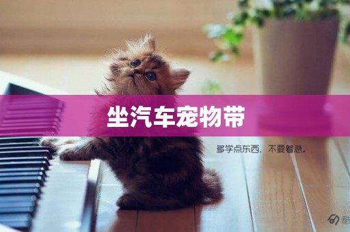 坐汽車寵物帶