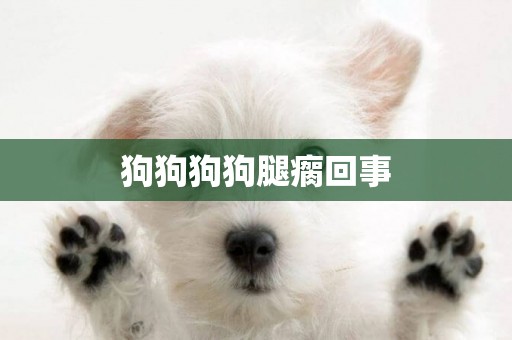 狗狗狗狗腿瘸回事