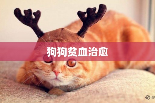 狗狗貧血治愈