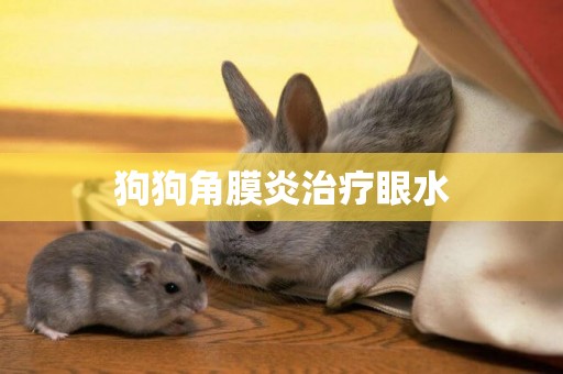 狗狗角膜炎治療眼水