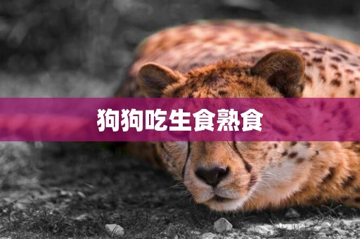狗狗吃生食熟食