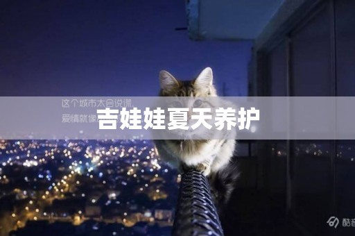 吉娃娃夏天養護