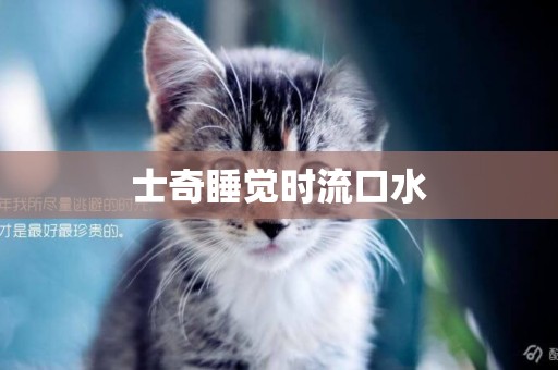 士奇睡覺時流口水