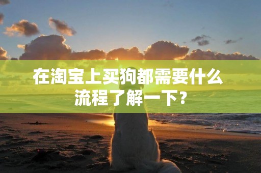 在淘寶上買狗都需要什么 流程了解一下？