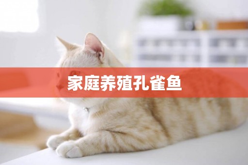 家庭養殖孔雀魚