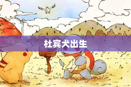 杜賓犬出生