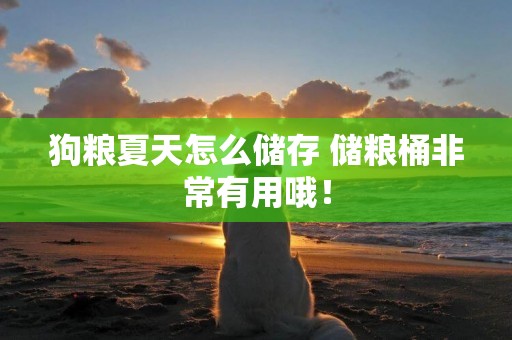 狗糧夏天怎么儲存 儲糧桶非常有用哦！