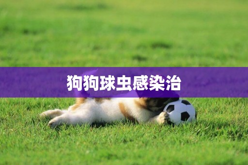 狗狗球蟲感染治
