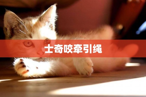 士奇咬牽引繩