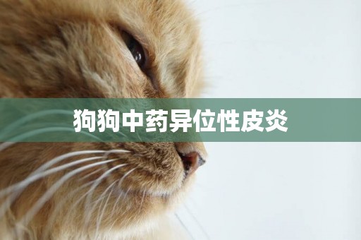狗狗中藥異位性皮炎