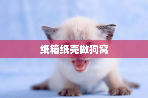 紙箱紙殼做狗窩