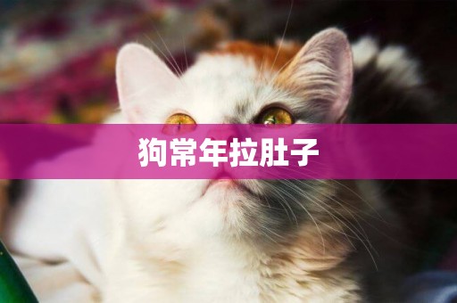 狗常年拉肚子