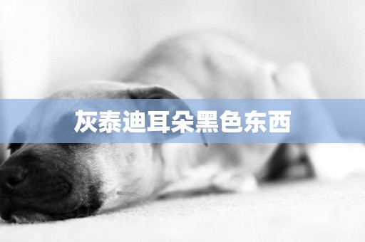 灰泰迪耳朵黑色東西