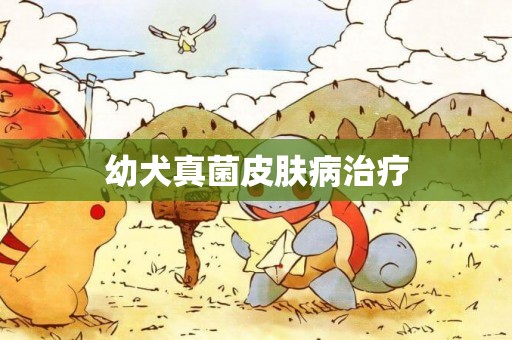 幼犬真菌皮膚病治療