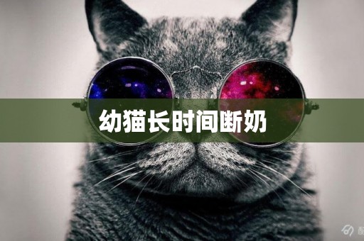 幼貓長時間斷奶