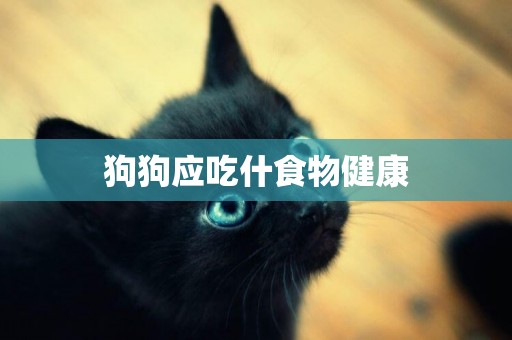 狗狗應吃什食物健康